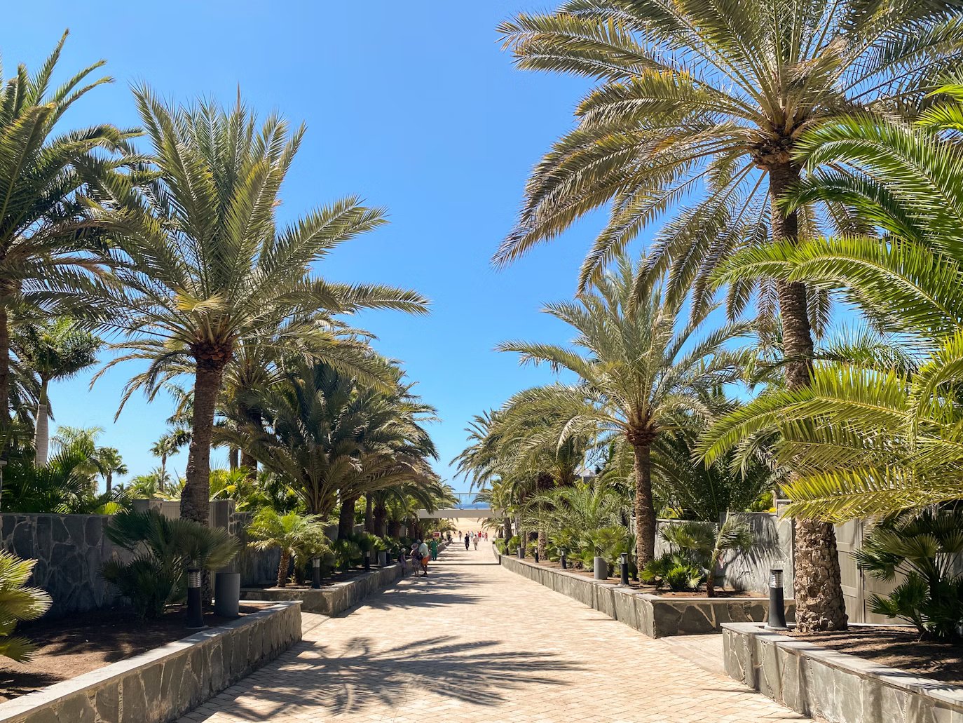 Empresa de gestión de vivienda vacacional en Canarias - Miviviendavacacional - Maspalomas