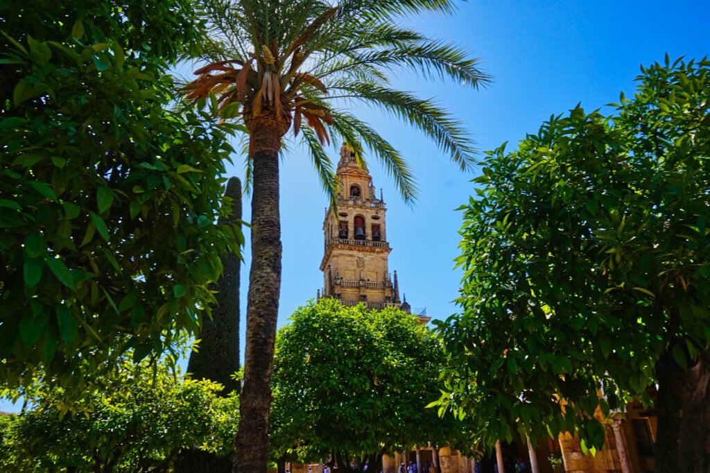 Gestión de pisos turísticos en Andalucía - Miviviendavacacional - Sevilla